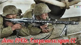 Почему выиграли "Прохоровку", но проиграли Курск Лето 1943г. Глазами солдат СС  - военные истории