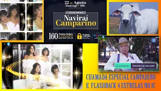 CHAMADA LEILÃO CAMPARINO E TUNEL DO TEMPO  PARTE 2  Flashback PvsTvNovidades