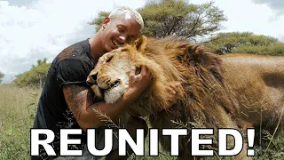 Dean Schneider - Reunited with the Lions