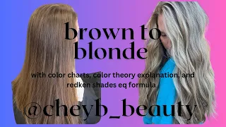 BROWN TO BLONDE | TONING WITH REDKEN SHADES, HAIR COLOR THEORY, TONER FORMULAS, ROOT TAP, AND MORE