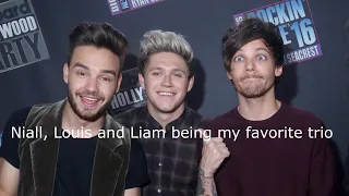 Niall Horan, Liam Payne and Louis Tomlinson being my favorite trio for 3 minutes straight