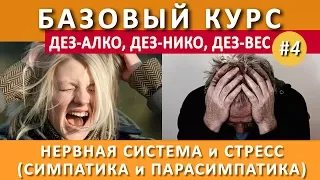 #4. Стресс и Автономная Нервная Система. Симпатика и парасимпатика