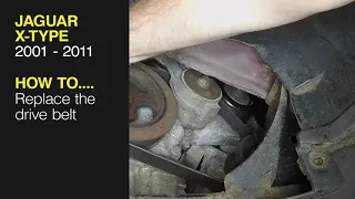 How to Replace the drive belt on the 5631 - Jaguar X-Type 2001 to 2011