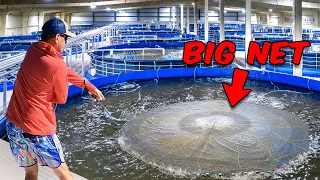 I Exposed a Major Shrimp Farming Operation! (I Can’t Believe They are Doing This)