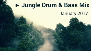 ► Jungle Drum & Bass Mix - January 2017