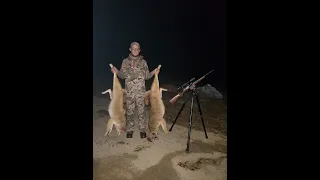 ATN Thor 4 Pulled a double with my CZ457 22 magnum Thermal Night Hunting Coyotes