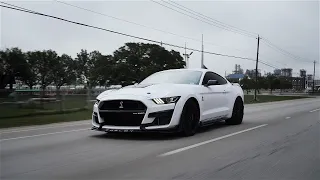 Shelby GT500 | 4K