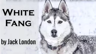 White Fang by Jack London | Audiobooks Youtube Free