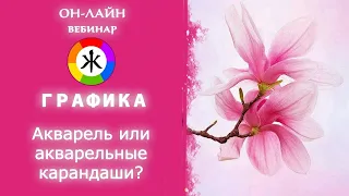 Акварельные карандаши или акварель? Как нарисовать цветы МАГНОЛИИ