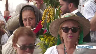 PROCESIÓN DE LAS MARIA EN SANTA MARIA DE GUIA 18 09 2022 GONZALO