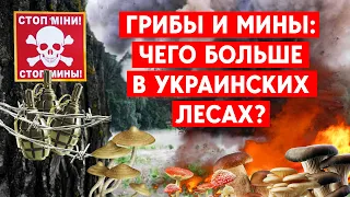 Грибной сезон отменяется! Саперы просят украинцев не ходить в леса