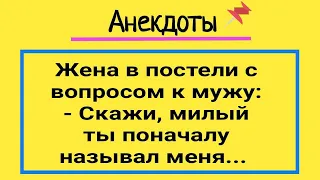 Анекдоты! Муж и Жена Зайка! Сборник Веселых Анедотов! Юмор и Позитив!