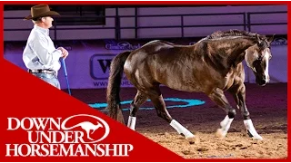 Clinton Anderson with his amazing horse "Mindy" in Vegas 2010