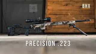Precision .223 Rifle - Overview