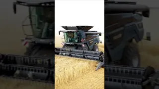 Идеально-медитативная работа комбайна Fendt Ideal 8 ✨