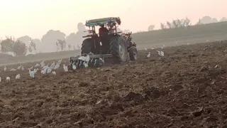 Disc plough on fiat