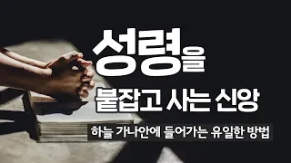 [설교말씀] 성령을 붙잡고 사는 신앙 - 하늘 가나안에 들어가는 유일한 방법 / 보혜사 성령을 만날 때 일어나는 일 - 앤드류 강