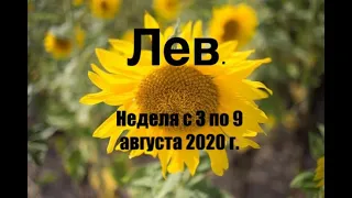 Лев. Таро-прогноз на неделю с 3 по 9 августа 2020 года.