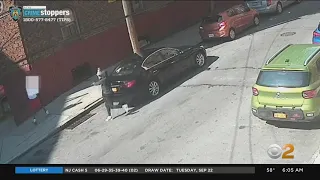 New Video Shows Bronx Shooting