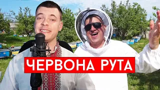 Червона рута (cover Виталий Лобач & А Баскевич)