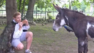 Die kleine Zauberflöte - Trailer