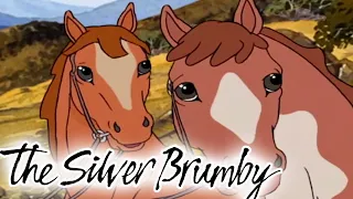 The Silver Brumby | Wombats to the Rescue 🐎| HD FULL EPISODES