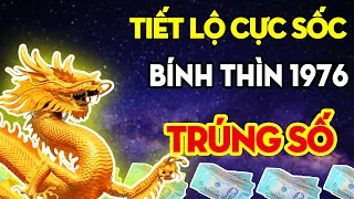 Tiết Lộ Tử Vi Trọn Đời: Bính Thìn 1976 Mệnh Số PHÚ QUÝ, Đổi Đời GIÀU SANG