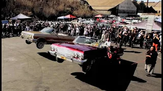 Low Rider (Funky Purrfection) - WAR | SF Low Rider Show [Music Video]