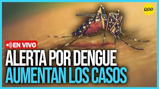 🔴Aumentan casos por dengue en el Perú: ¿Qué sabemos sobre esta enfermedad y cómo la prevenimos?