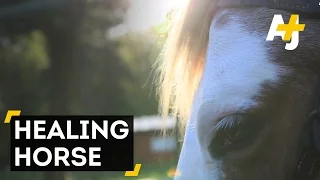 Bari The Healing Horse Helps People With Disabilities