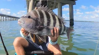 GIANT SHEEPSHEAD FISHING on BRIDGE PILINGS + HOW TO (Catch and Cook)