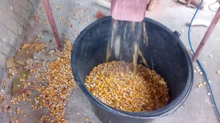 обзор теребилка кукурузы