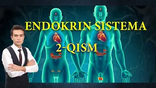 Endokirn sistema 2-qism ||