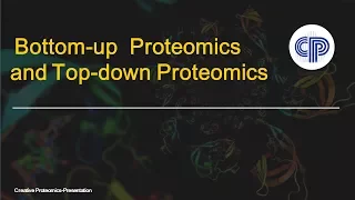 Bottom-up  proteomics and top-down proteomics