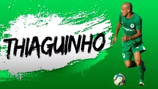 Thiaguinho ●  Defensive Midfielder