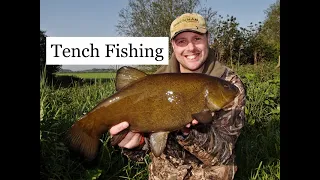 Tench Fishing again #tenchfishing #tench