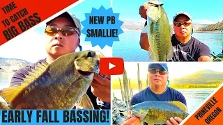 BASS FISHING IN EARLY FALL-HOW TO CATCH BASS DURING THE FALL TRANSITION