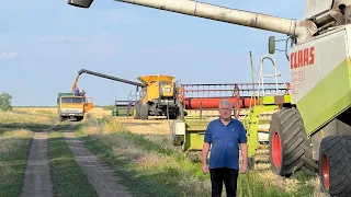 Жнива🌾2023‼️100ц⁉️відео для тих хто цінує працю хлібороба👍💙💛