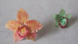 Fiori in pasta di zucchero: orchidee (Parte 2 di 2)