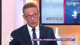 Julien Courbet : vivre avec 1000€ par mois - C à Vous - 13/09/2018