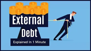 External debt Explained in 1 Minute | Ecoholics