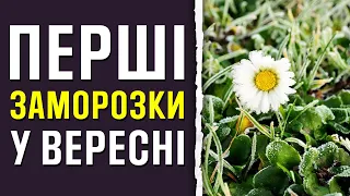 Перші заморозки та посуха: синоптик дав невтішний прогноз на вересень в Україні