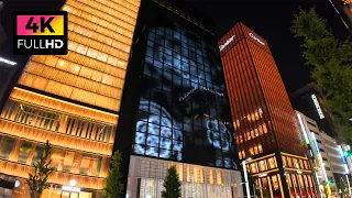 【4K】築地本願寺から銀座まで夜散歩 (May 2024) | Night walk from Tsukiji Honganji to Ginza.