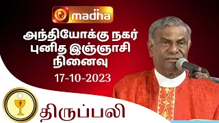 🔴 LIVE 17 OCTOBER  2023 Holy Mass in Tamil 06:00 PM (Evening Mass) | Madha TV