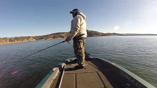 Castaic Lake Giant Bass on Savage Gear 8" Pulse Tail Trout