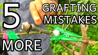 Why do my grafts fail??? 5 More GRAFTING MISTAKES - 1 year later