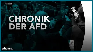 phoenix plus - Chronik der AfD