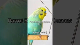 Birds but as people 😈