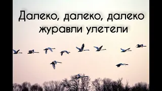 Далеко далеко далеко журавли улетели Христианская песня