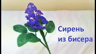 Как сделать СИРЕНЬ своими руками / СИРЕНЬ ИЗ БИСЕРА / Мастер-класс